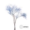 永生花材 ｜ 柔丝蓝色 商品缩略图1