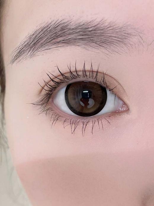 mimipark  半年抛 栗子狗狗眼 直径14.5mm着色14.5mm 商品图1