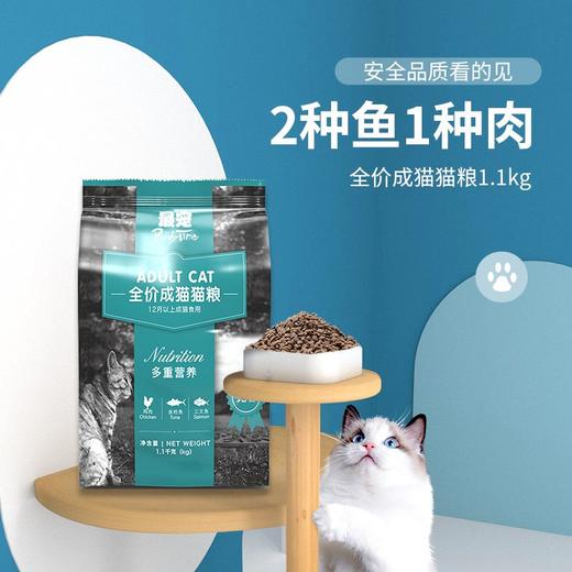 paddytime最宠猫粮成猫深海鱼猫咪主粮英短猫食宠物主食1.1kg 商品图0