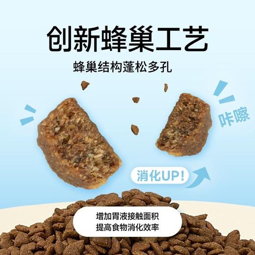 诚实一口P32天然无谷全期全价低敏通用成猫鸡肉猫粮1.5kg 商品图4