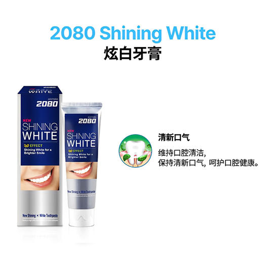 韩国进口爱敬2080炫白牙膏口腔清洁祛味清新口气 炫白牙膏 100g/支 商品图1