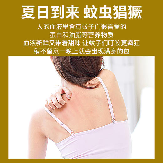 草本植物香囊包(蚊虫款-2件起包邮） 商品图2