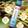 膳太宗-铁皮石斛地黄多肽饮 480ml (30ml×16瓶) 商品缩略图2