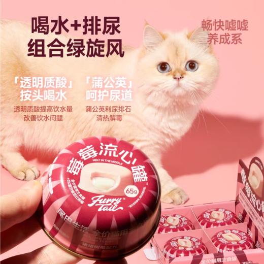 尾巴生活 太阳流心罐 草莓流心罐  犬猫罐头 商品图5