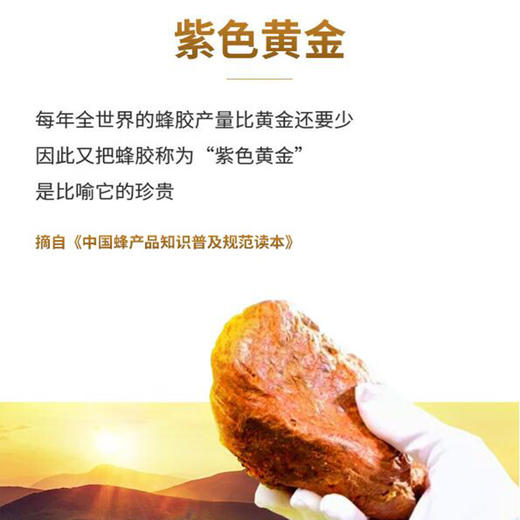 创愈凝-抑菌蜂胶凝胶-10g 商品图4