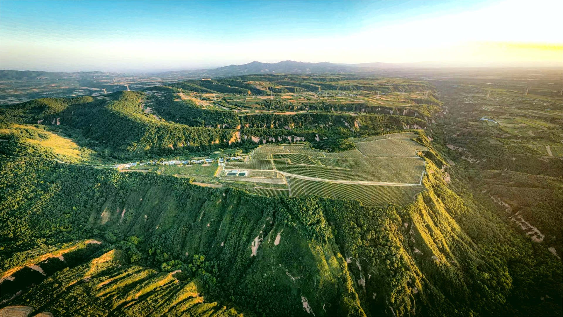 认养苹果树（人人都有苹果树，苹果代大地宠爱你～）