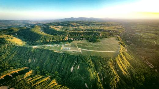 认养苹果树（人人都有苹果树，苹果代大地宠爱你～） 商品图0