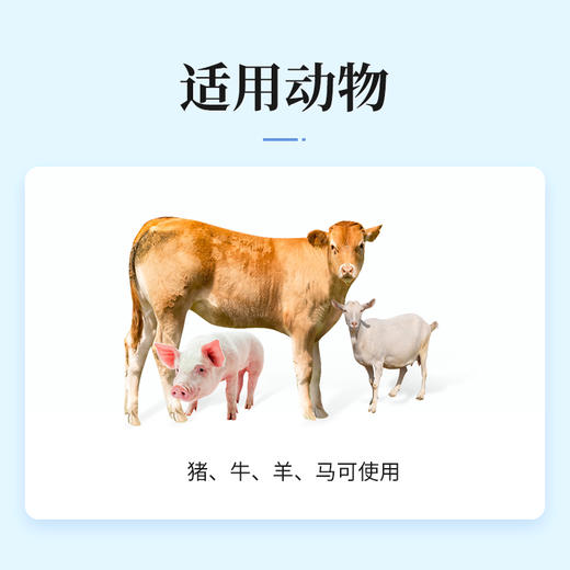 华畜兽药 柴胡注射液10支 解热 主治感冒发热 稀释头孢 猪马牛羊药非瘟清 商品图2