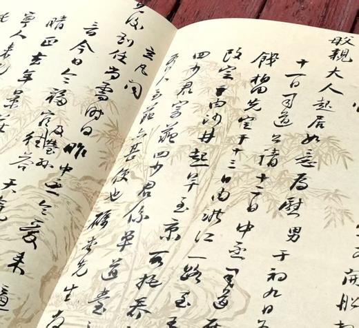 《海纳百川：林则徐的精神世界》精装，布面函套，大8开，全2册，黄捷编，中国美术学院出版社2020年一版一印 商品图12