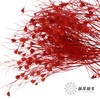 永生花材 ｜ 柔丝红色 商品缩略图1