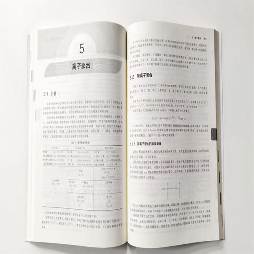 高分子化学(第六版) 商品图4