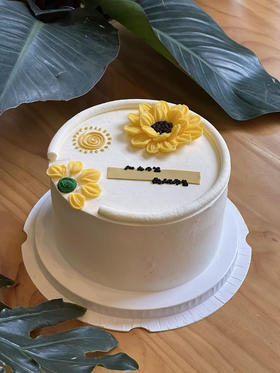 阳光万里 向阳而生