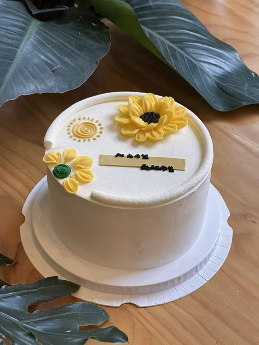 阳光万里 向阳而生 商品图0