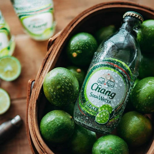 泰国Chang大象牌苏打水 健康生活 口感清爽 商品图1