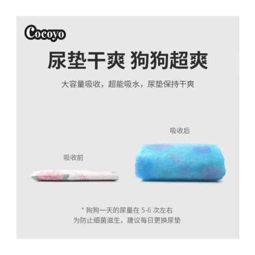 【全网爆款】Cocoyo狗狗尿垫猫用尿片宠物吸水尿布卫生垫尿不湿垫 33*45cmS码 商品图4