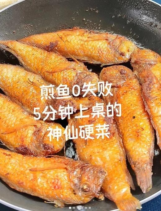 活鱼急冻99元抢2条肥美一夜埕马头鱼比市场鲜冻贵价鱼便宜近半每条都足足400g-450g个大肉厚超肥美馋的就是这口鲜顺丰京东基地直邮 商品图4