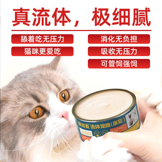 流体处方罐-康复-犬猫通用158g 商品图1