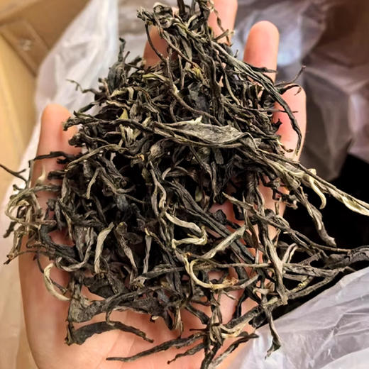 【6月30日19:00准时开抢！】【专柜价：4980元/片 仅限前18名VIP抢购：529元/片 ！附赠收藏证书】【拍7发8拍42发48】2025头春昔归老寨王 核心一类挑采古树357克 商品图1