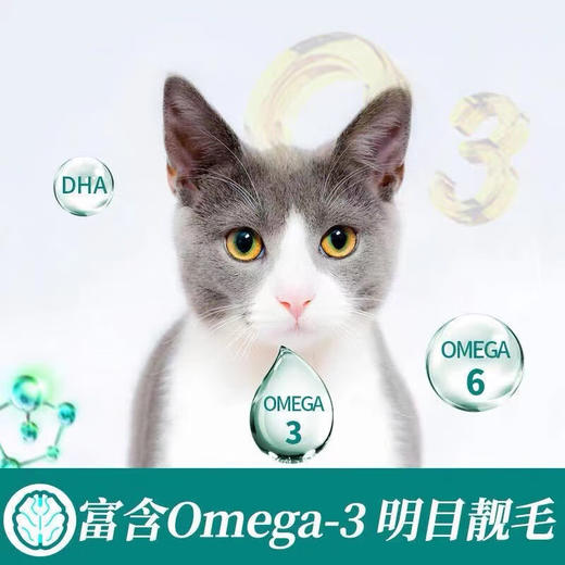 澳洲品牌最宠(PaddyTime)猫粮 冻干鸡肉猫粮 1.5kg 商品图3