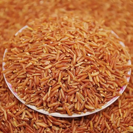 金亮子·红香米600g  精选优质红香米 颗粒饱满均匀 色泽天然红润 商品图4