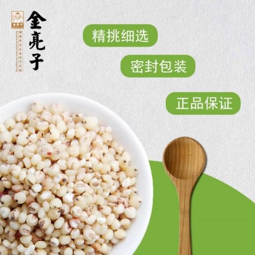金亮子·高粱米600g  米香浓郁纯粹 煮后软糯易吸收 商品图1