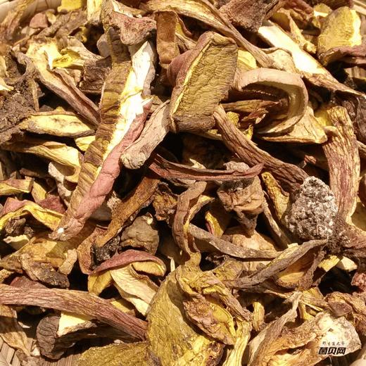 金亮子·黄牛肝菌90g  泡发即炒 减脂期营养补给 商品图3