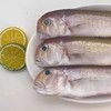 活鱼急冻99元抢2条肥美一夜埕马头鱼比市场鲜冻贵价鱼便宜近半每条都足足400g-450g个大肉厚超肥美馋的就是这口鲜顺丰京东基地直邮 商品缩略图2