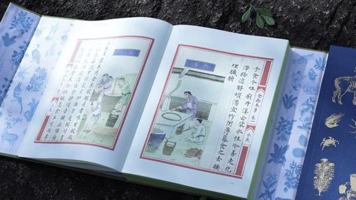 十点出版｜《食物本草-来自明代皇室的饮膳图谱》492种食药，492幅丹青彩绘，5万余字台阁体书法，来自明朝皇室的养生秘籍！药食同源的直观解读！最好的健康之道，或许就藏在老祖宗的一粥一饭之间。 商品图7
