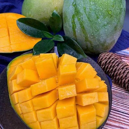 【攀枝花凯特芒果】香甜软糯多汁 果香浓郁 新鲜采摘 商品图4