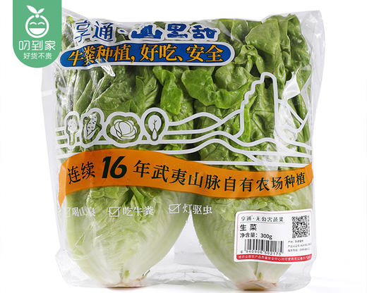 春菜-享通绿色生菜*2包（300g±15g/包） 商品图4