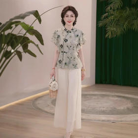 DL-CZL623国风立领小衫两件套夏款妈妈装C时尚复古小鹿印花洋气T恤女士套装