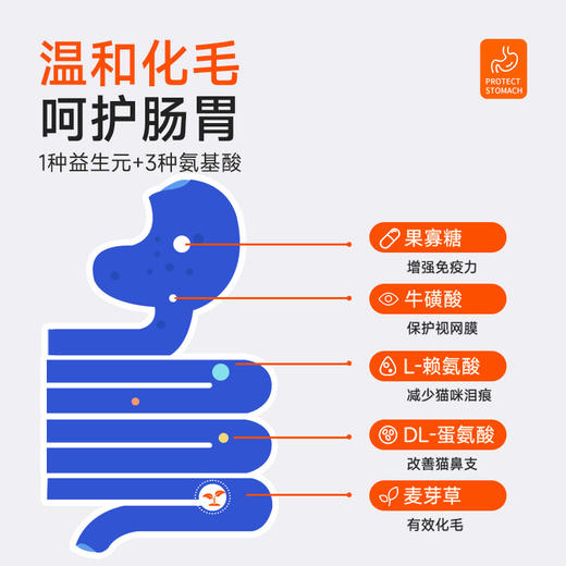 宽福冻干猫粮银渐层专用猫粮平价实惠猫粮成猫幼猫鸡肉冻干猫粮2kg 商品图3