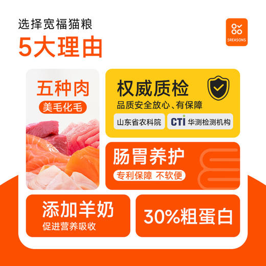 宽福冻干猫粮银渐层专用猫粮平价实惠猫粮成猫幼猫鸡肉冻干猫粮2kg 商品图1