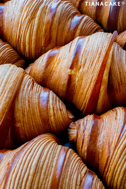 #AOP 黄油可颂 商品图5