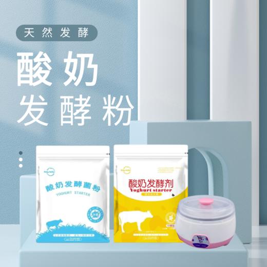 酸奶发酵菌粉 商品图0