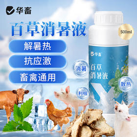 华畜 百草消暑液500ml 清凉解暑抗应激减少腹泻中暑不吃食