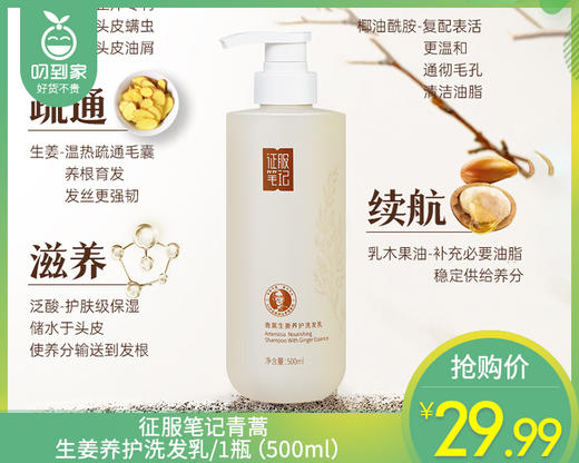 征服笔记青蒿生姜养护洗发乳/1瓶（500ml） 商品图0