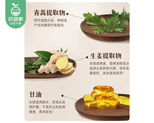 征服笔记青蒿生姜养护洗发乳/1瓶（500ml） 商品图2