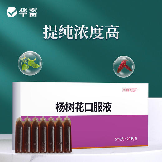 华畜杨树花口服液5ml*20支 肠炎痢疾 顽固腹泻 禽畜通用拉稀痢疾药 商品图3
