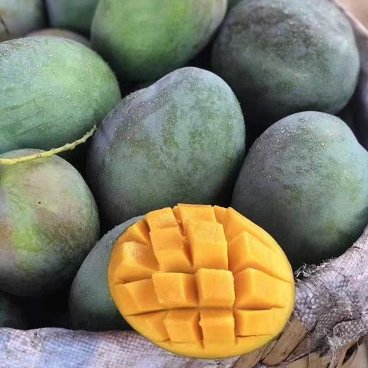 【攀枝花凯特芒果】香甜软糯多汁 果香浓郁 新鲜采摘 商品图6