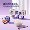 MM 山姆 Dairy Farmers澳洲焦糖无花果酸奶 900g（150g*6） 商品缩略图4