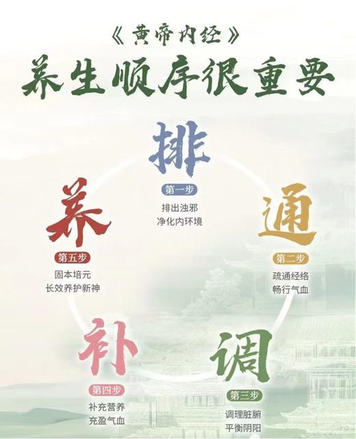 必囤单品🌿龙脊晒背贴，三伏限定补阳黄金法，艾叶+5味草本，还原阳光的温灸感，排除寒湿，细胞破壁技术高分子渗透到穴位，可随意剪裁，55cm覆盖面广泛4片/盒 商品图8