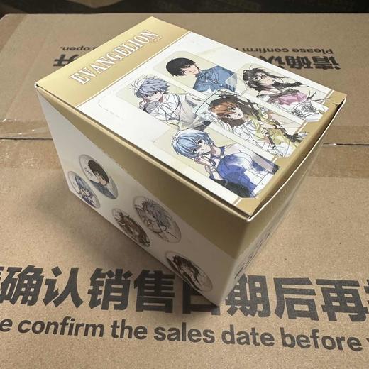 新世纪福音战土 昭华系列 徽章 吧唧 10包/盒 国谷 商品图0