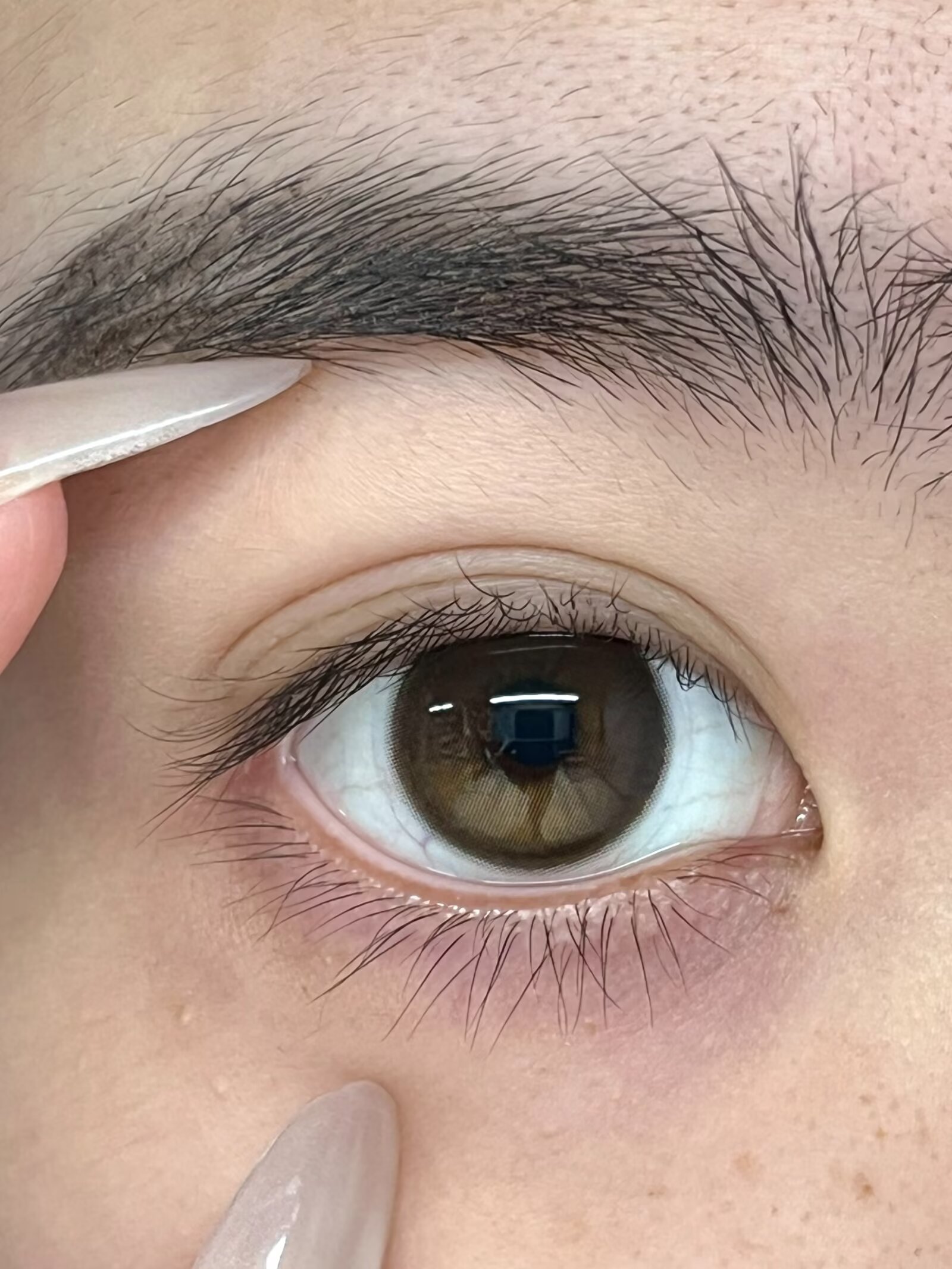 ALLECON半年抛美瞳 小甜酒 14.2mm