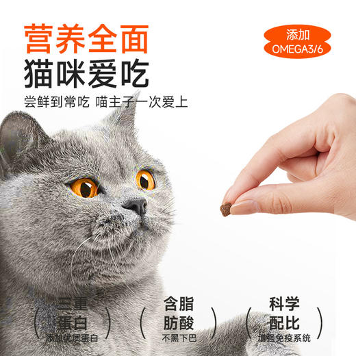 宽福冻干猫粮银渐层专用猫粮平价实惠猫粮成猫幼猫鸡肉冻干猫粮2kg 商品图2