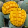 【攀枝花凯特芒果】香甜软糯多汁 果香浓郁 新鲜采摘 商品缩略图8