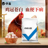 华畜鸡球虫散500g 鸡冠苍白血便下痢 纯中药成分 家禽专用 商品缩略图0