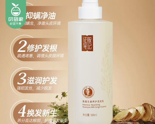 征服笔记青蒿生姜养护洗发乳/1瓶（500ml） 商品图1