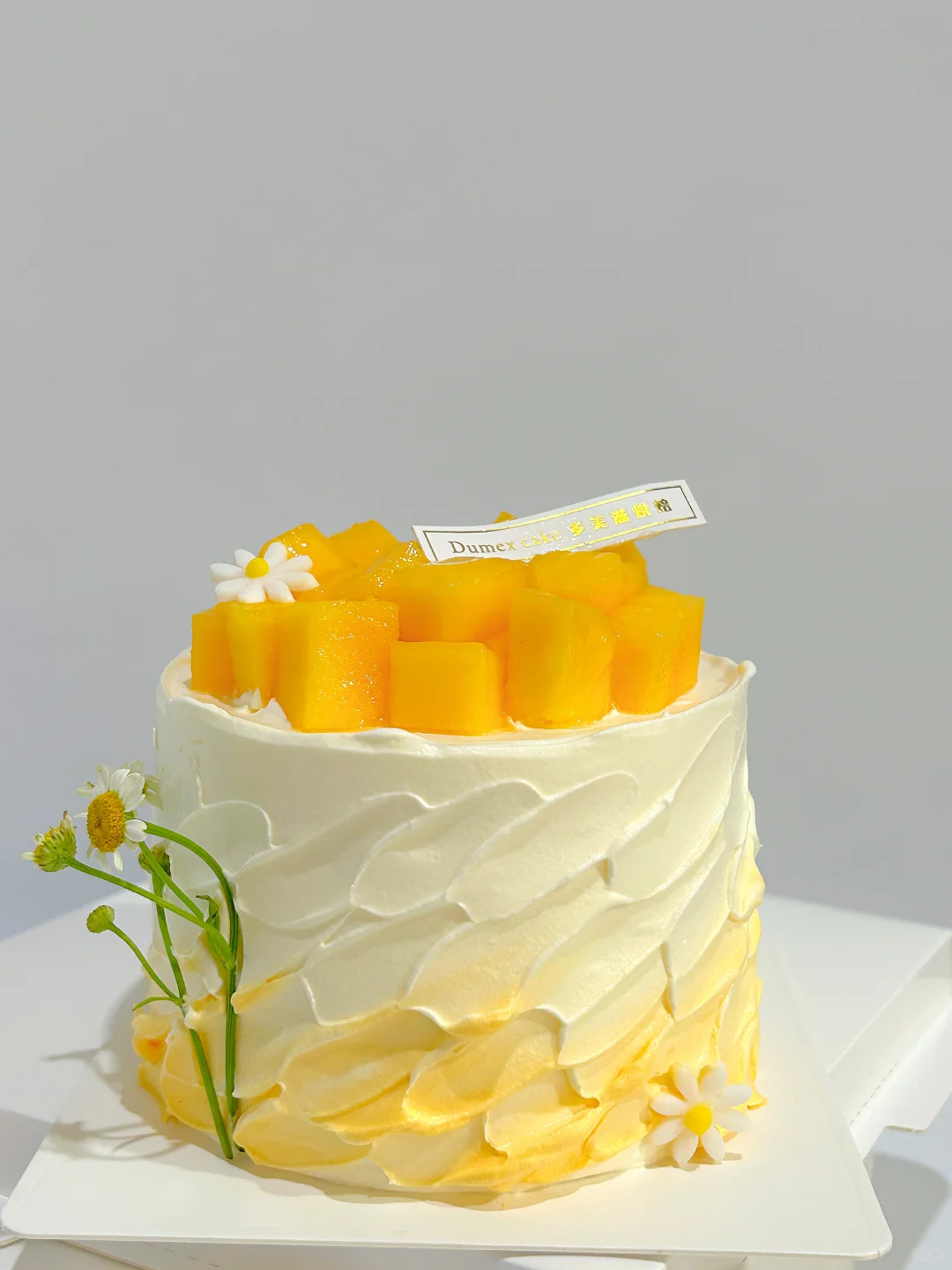 阳光小花花 | 芒果小蛋糕