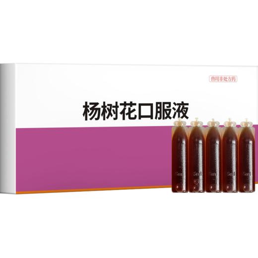 华畜杨树花口服液5ml*20支 肠炎痢疾 顽固腹泻 禽畜通用拉稀痢疾药 商品图5